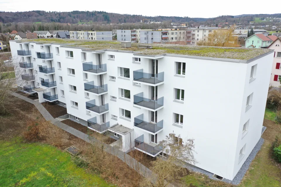 Niedergösgen — Ansicht 3